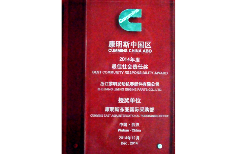 Best Social Responsibility Award (CUMMINS, 2014)