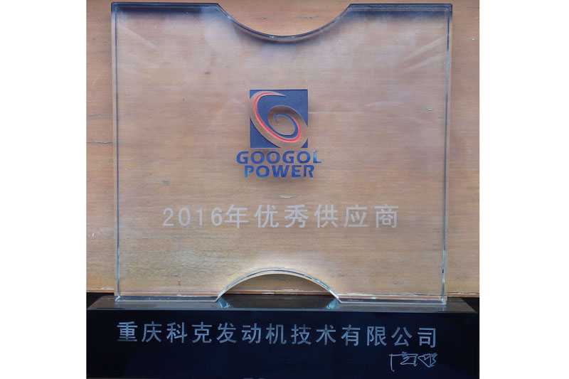 Excellent Supplier (Chongqing Googol Power, 2016)