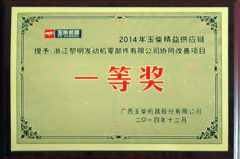 Improvement Project First Prize (YUCHAI, 2014)