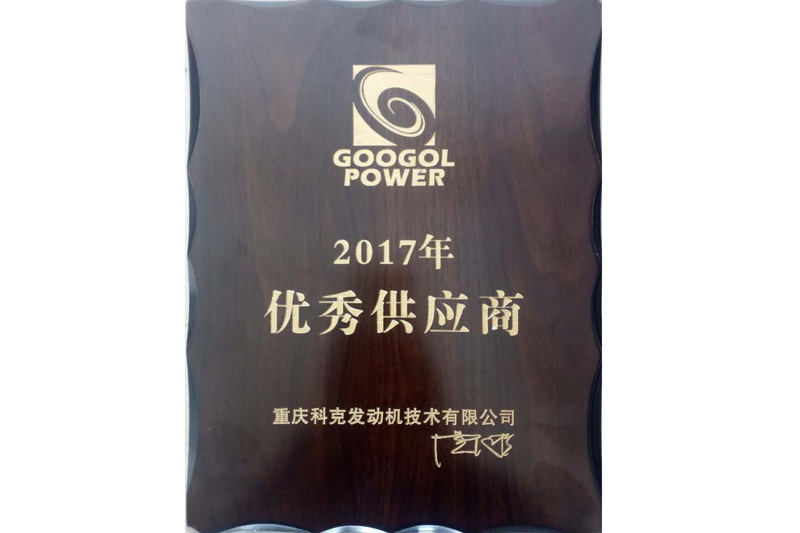 Excellent Supplier(Chongqing Googol Power-Tech，2017)