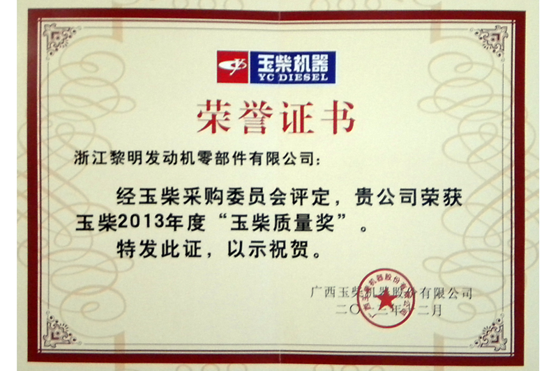 Quality Award (YUCHAI, 2013)