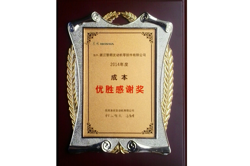 Cost Excellence Award (DONGFENG HONDA, 2014)