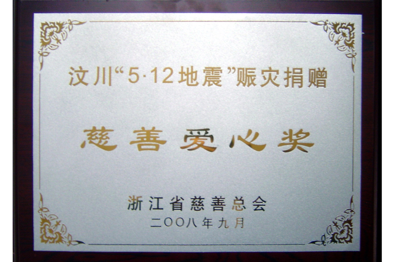 Charity Award in Wenchuan Earthquake(2008)